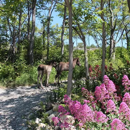 De Fournery * فيلنوف دي بيرغ